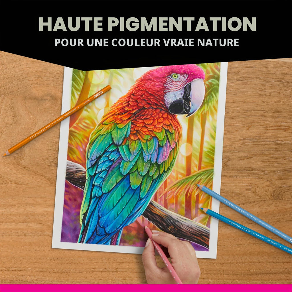 Crayons de couleur gras Prismacolor Premier mine 0,9 mm lot de 150 avec étui de rangement