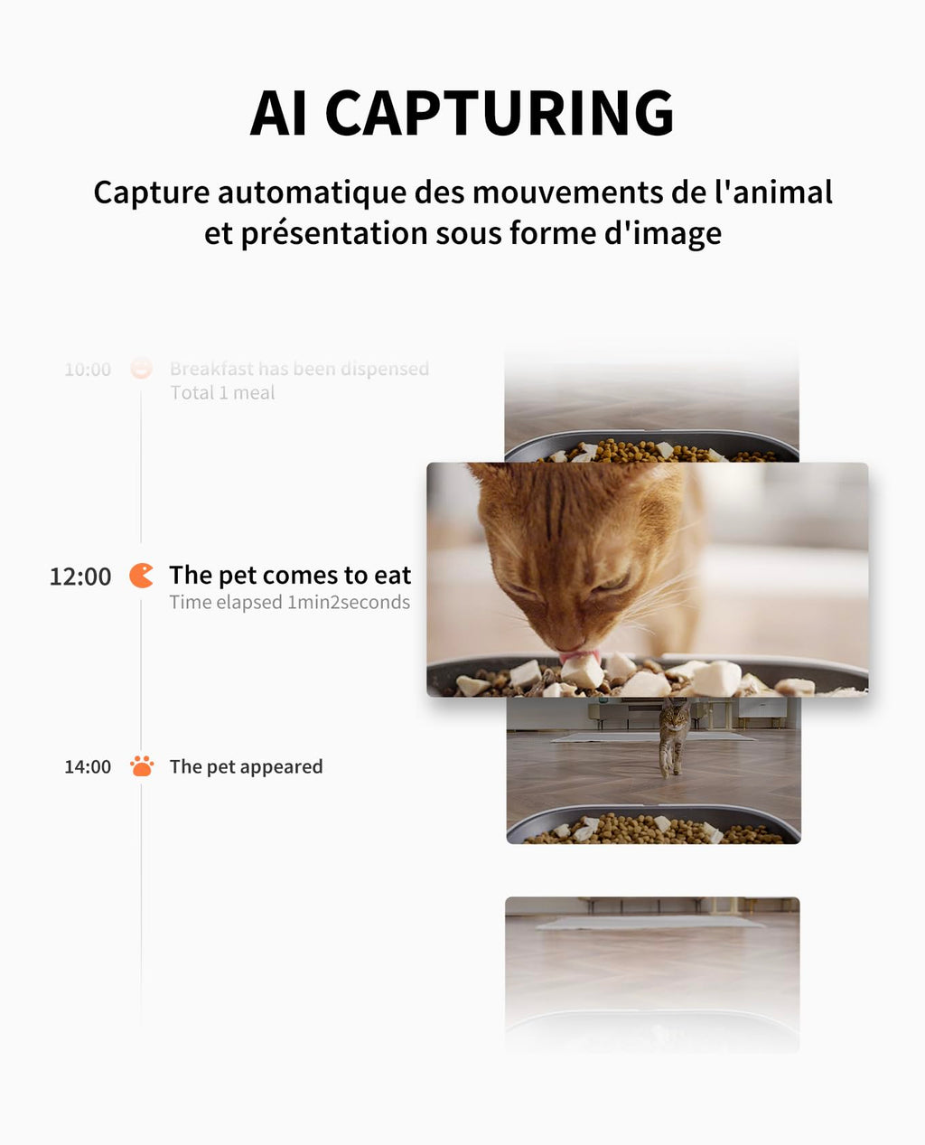 Distributeur automatique de croquettes pour chat P591 avec caméra HD 1080P Wi-Fi 5L double trémie et contrôle application