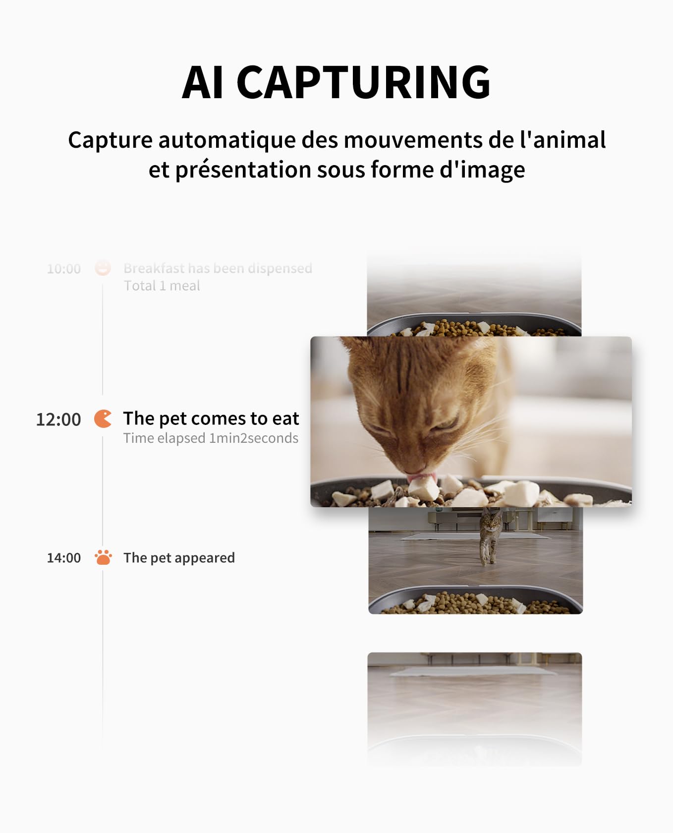 Distributeur automatique de croquettes pour chat P591 avec caméra HD 1080P Wi-Fi 5L double trémie et contrôle application