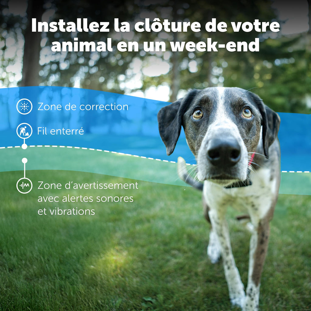 Système de clôture enterrée pour chien têtu avec collier de correction statique 5 niveaux zone de sécurité filaire extérieur