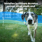 Système de clôture enterrée pour chien têtu avec collier de correction statique 5 niveaux zone de sécurité filaire extérieur