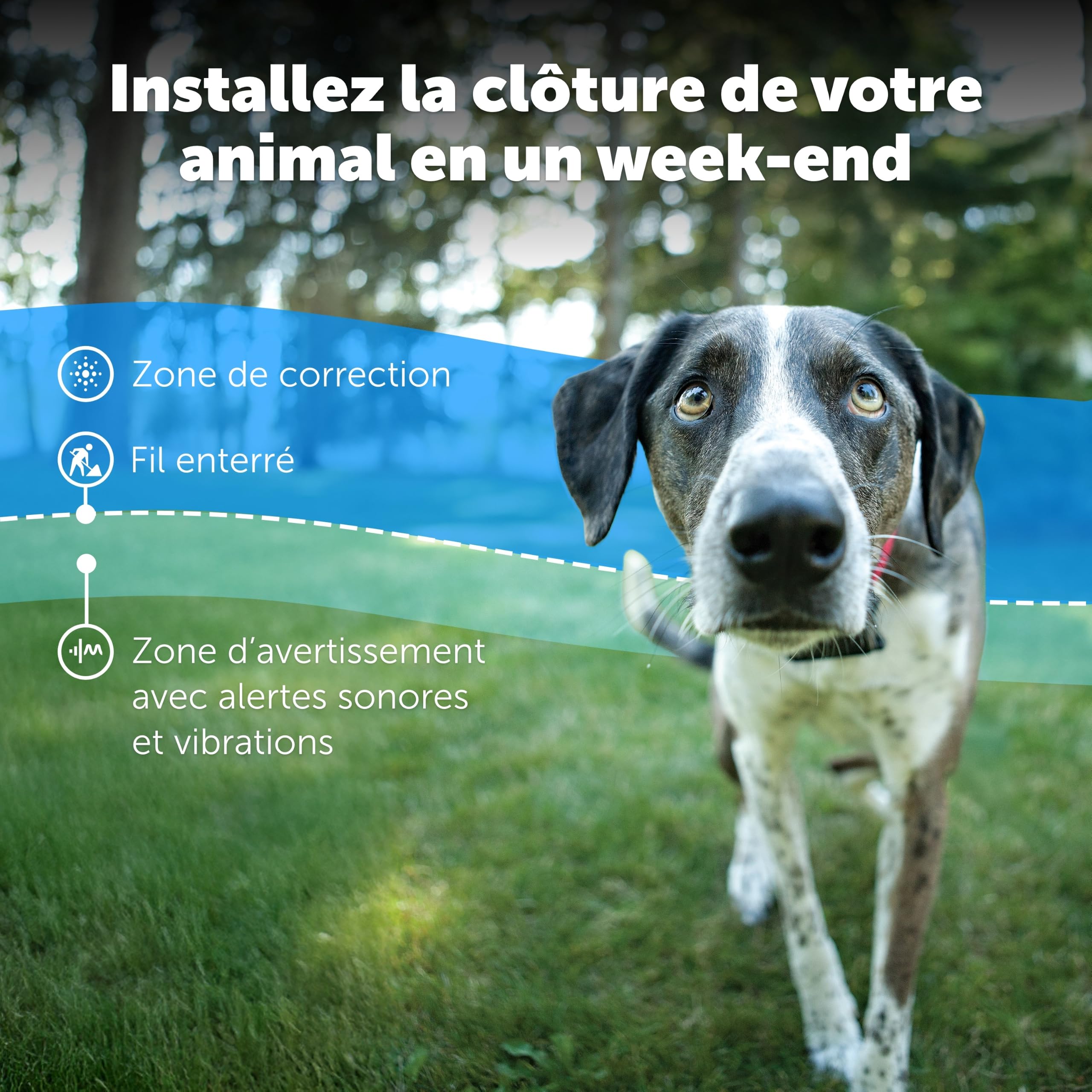 Système de clôture enterrée pour chien têtu avec collier de correction statique 5 niveaux zone de sécurité filaire extérieur