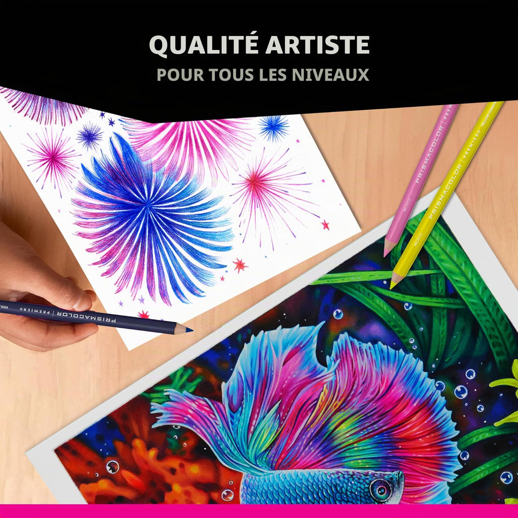 Crayons de couleur gras Prismacolor Premier mine 0,9 mm lot de 150 avec étui de rangement