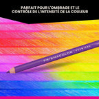 Crayons de couleur gras Prismacolor Premier mine 0,9 mm lot de 150 avec étui de rangement