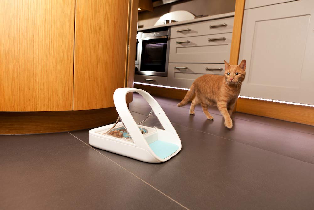 Distributeur de nourriture à puce électronique pour chat et chien avec couvercle hermétique 400 ml identification RFID autonomie 6 mois