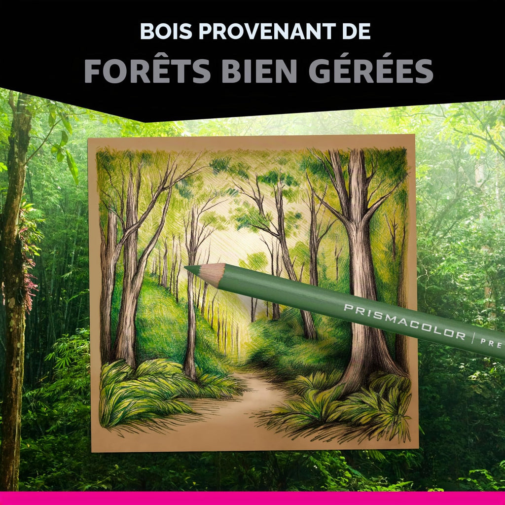 Crayons de couleur gras Prismacolor Premier mine 0,9 mm lot de 150 avec étui de rangement