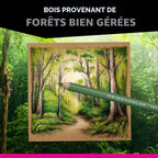 Crayons de couleur gras Prismacolor Premier mine 0,9 mm lot de 150 avec étui de rangement