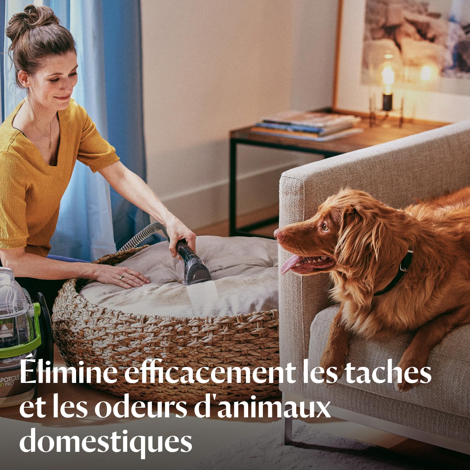 Shampouineuse canapé SpotClean Pet Pro 15585 750W avec nettoyage tapis moquettes tissus et intérieur voiture réservoir 2,8 L