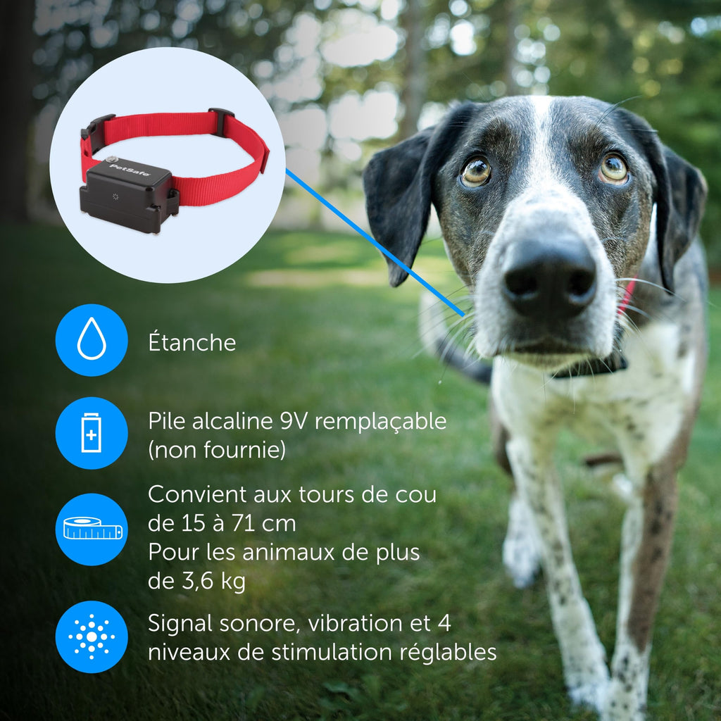 Système de clôture enterrée pour chien têtu avec collier de correction statique 5 niveaux zone de sécurité filaire extérieur