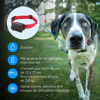 Système de clôture enterrée pour chien têtu avec collier de correction statique 5 niveaux zone de sécurité filaire extérieur