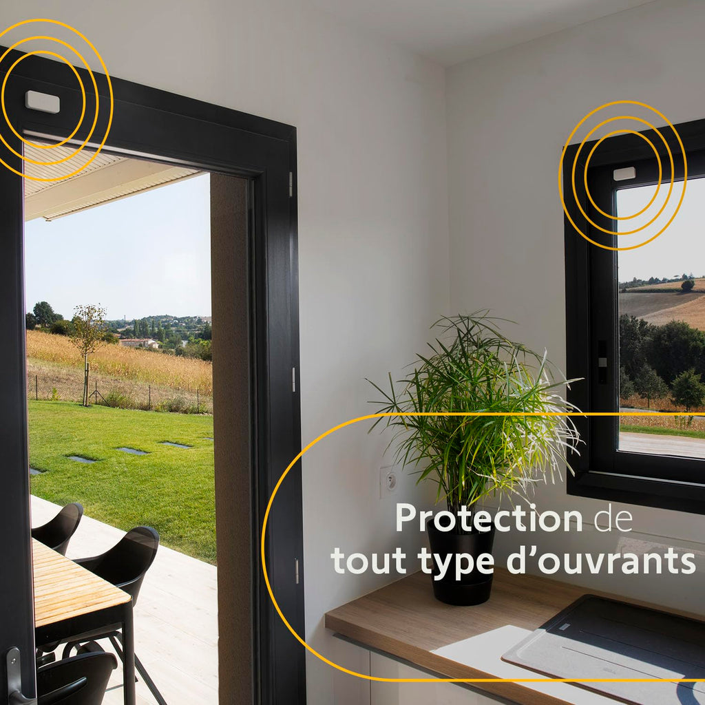 Détecteur de vibration IntelliTAG 2401488A pour alarme maison pack 5 unités avec piles AAA portée 200 m