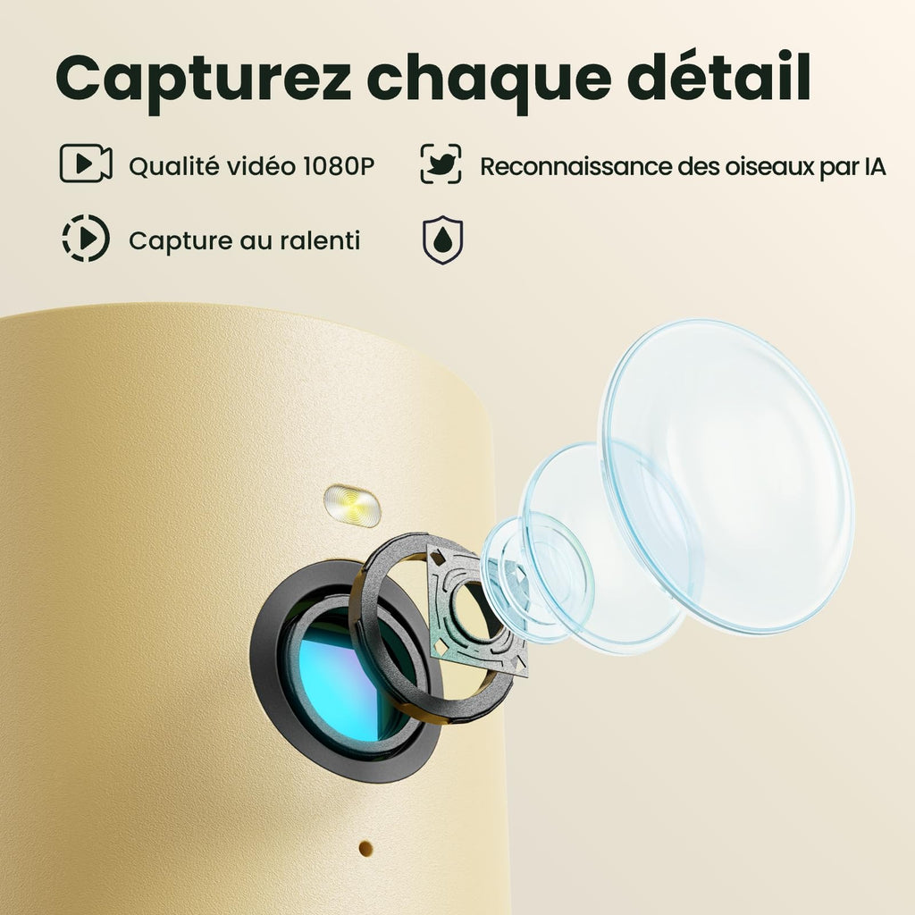 Mangeoire oiseaux avec caméra solaire Birdfy bois 1080p IA identification 6000 espèces batterie 5200mAh