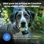Système de clôture enterrée pour chien têtu avec collier de correction statique 5 niveaux zone de sécurité filaire extérieur