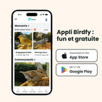 Mangeoire oiseaux avec caméra solaire Birdfy bois 1080p IA identification 6000 espèces batterie 5200mAh