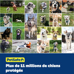 Système de clôture enterrée pour chien têtu avec collier de correction statique 5 niveaux zone de sécurité filaire extérieur
