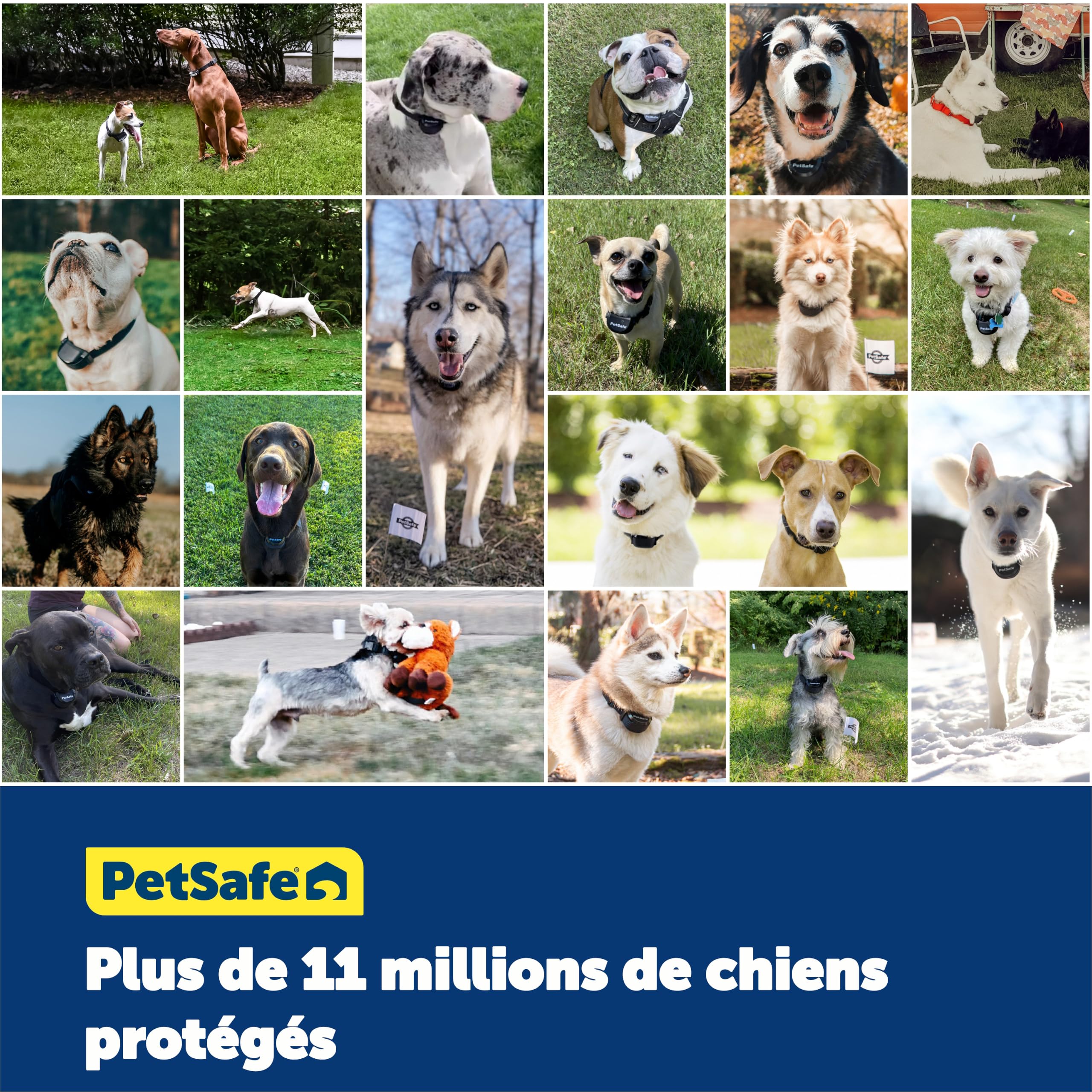 Système de clôture enterrée pour chien têtu avec collier de correction statique 5 niveaux zone de sécurité filaire extérieur
