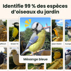 Mangeoire oiseaux avec caméra solaire Birdfy bois 1080p IA identification 6000 espèces batterie 5200mAh