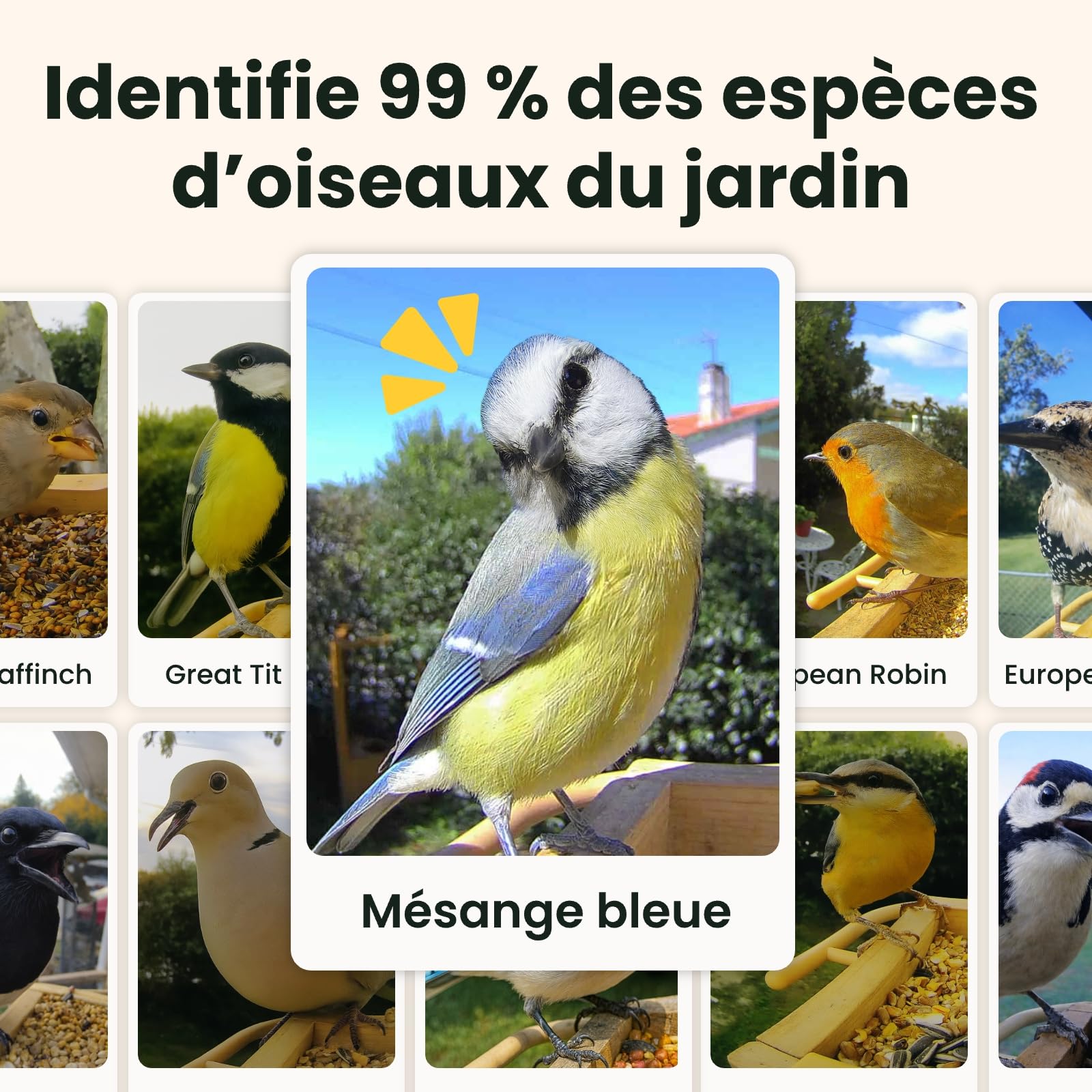 Mangeoire oiseaux avec caméra solaire Birdfy bois 1080p IA identification 6000 espèces batterie 5200mAh