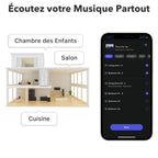 Récepteur audio WiFi ASR002 avec AirPlay 2 Google Cast Audio streaming multiroom haute résolution 24 bits 192 kHz Bluetooth