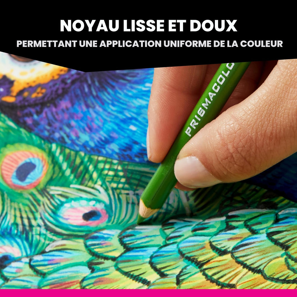 Crayons de couleur gras Prismacolor Premier mine 0,9 mm lot de 150 avec étui de rangement