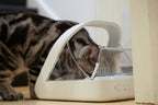 Distributeur de nourriture à puce électronique pour chat et chien avec couvercle hermétique 400 ml identification RFID autonomie 6 mois