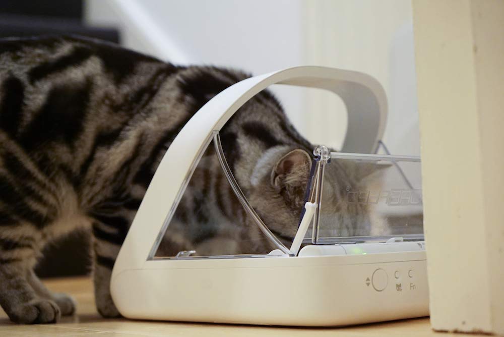 Distributeur de nourriture à puce électronique pour chat et chien avec couvercle hermétique 400 ml identification RFID autonomie 6 mois