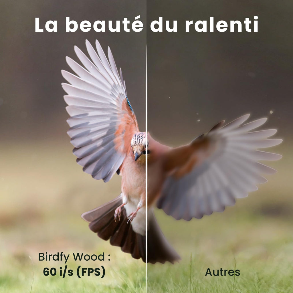 Mangeoire oiseaux avec caméra solaire Birdfy bois 1080p IA identification 6000 espèces batterie 5200mAh