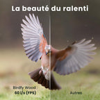 Mangeoire oiseaux avec caméra solaire Birdfy bois 1080p IA identification 6000 espèces batterie 5200mAh
