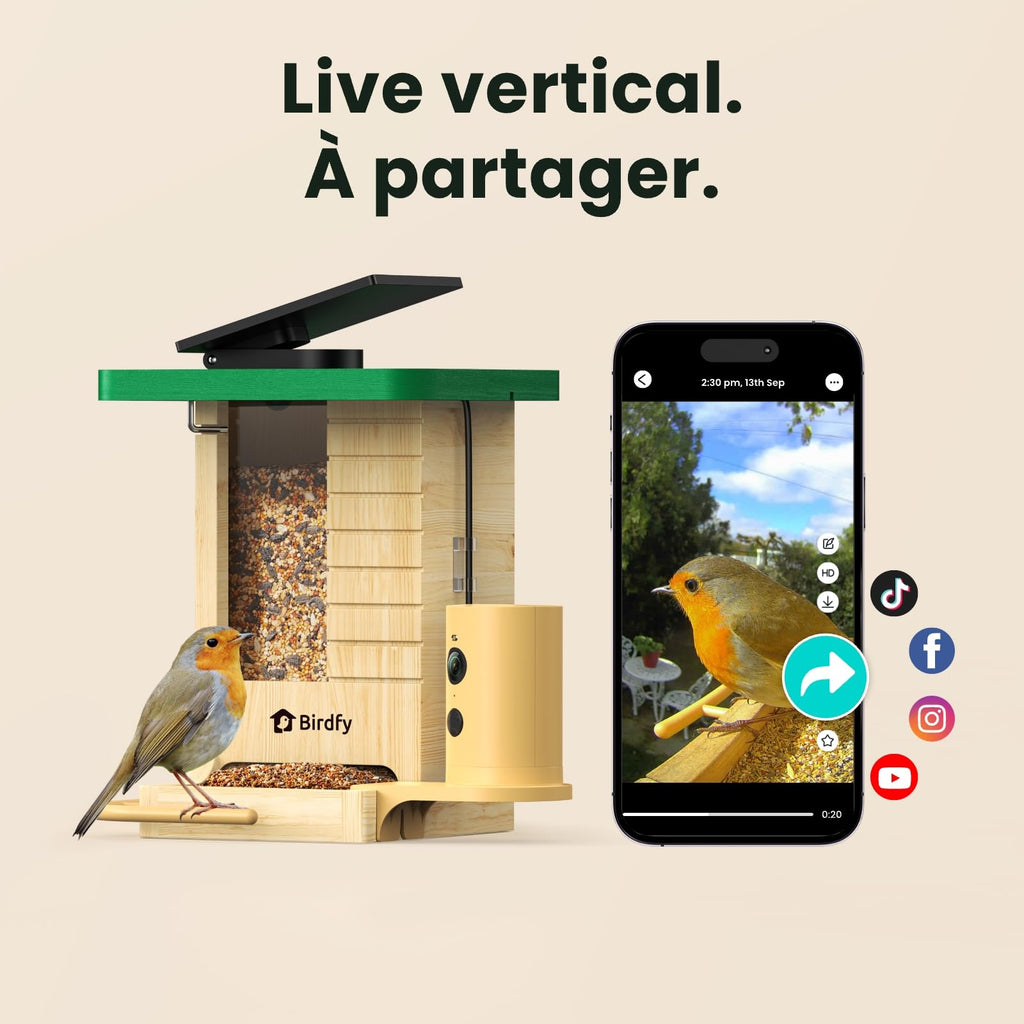 Mangeoire oiseaux avec caméra solaire Birdfy bois 1080p IA identification 6000 espèces batterie 5200mAh