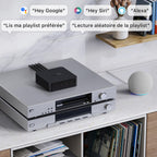 Récepteur audio WiFi ASR002 avec AirPlay 2 Google Cast Audio streaming multiroom haute résolution 24 bits 192 kHz Bluetooth
