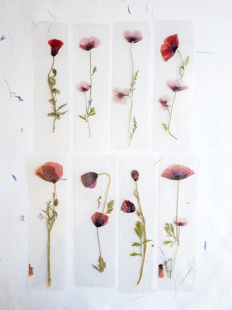 Marque-page transparent avec coquelicot pressé (18 x 4 cm) – Marque-page en fleurs séchées