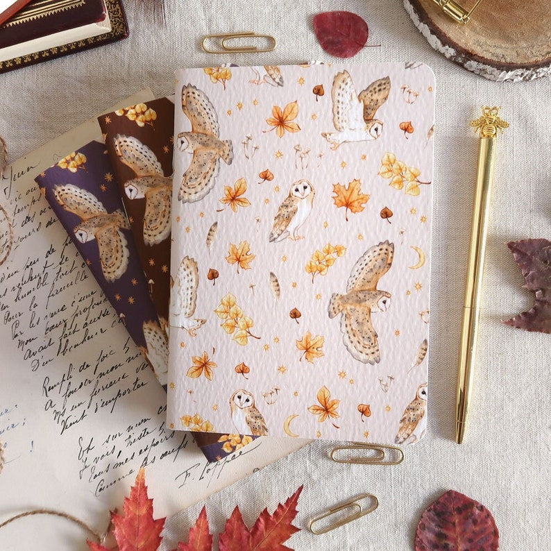 Carnet de notes A6 - Chouettes effraies en automne - 3 coloris