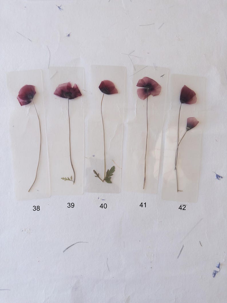 Marque-page transparent avec coquelicot pressé (18 x 4 cm) – Marque-page en fleurs séchées