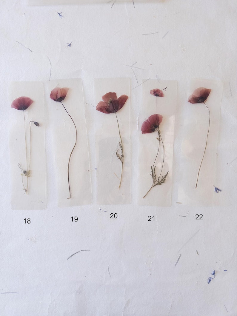 Marque-page transparent avec coquelicot pressé (18 x 4 cm) – Marque-page en fleurs séchées