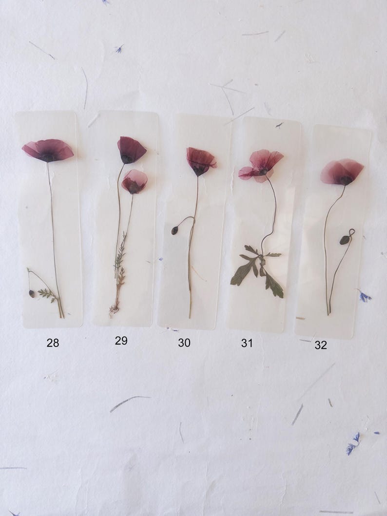 Marque-page transparent avec coquelicot pressé (18 x 4 cm) – Marque-page en fleurs séchées