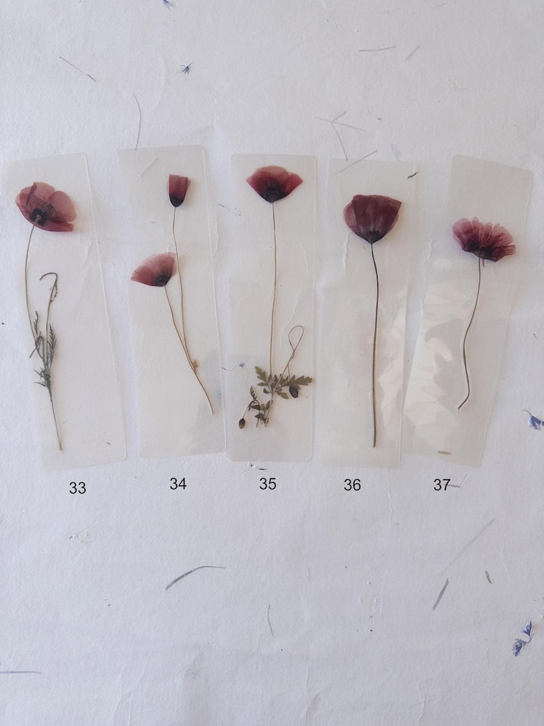 Marque-page transparent avec coquelicot pressé (18 x 4 cm) – Marque-page en fleurs séchées